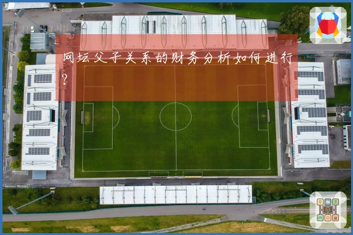 网坛父子关系的财务分析如何进行？