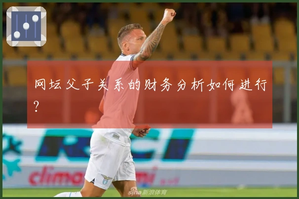 网坛父子关系的财务分析如何进行？